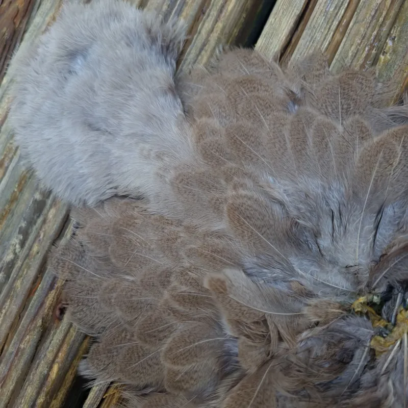 Whiting Brahma Hen Soft Hackle with Chickabou in Mottled Light Dun C-6