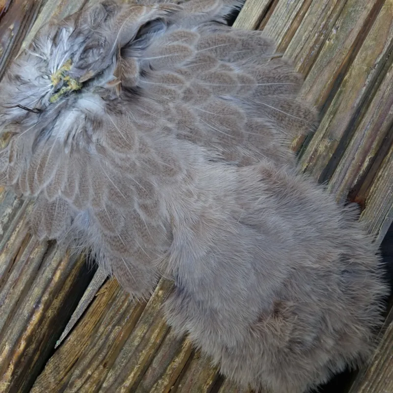 Whiting Brahma Hen Soft Hackle with Chickabou in Mottled Light Dun C-3