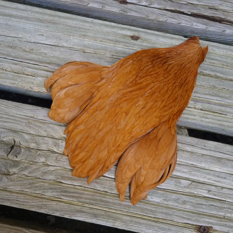 Whiting Exclusive WET Fly Hen Cape in Cinnamon-1