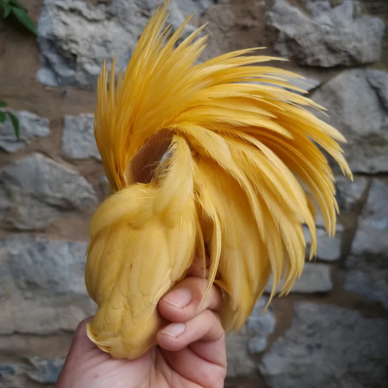 Whiting Exclusive WET Fly Hen Cape in Golden Straw-5