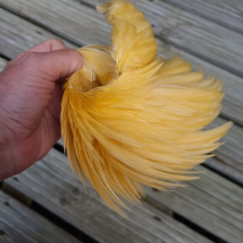 Whiting Exclusive WET Fly Hen Cape in Golden Straw-7