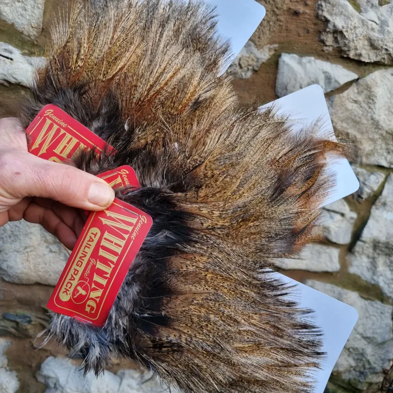 Whiting Coq de Leon Tailing Pack in Medium Pardo-6