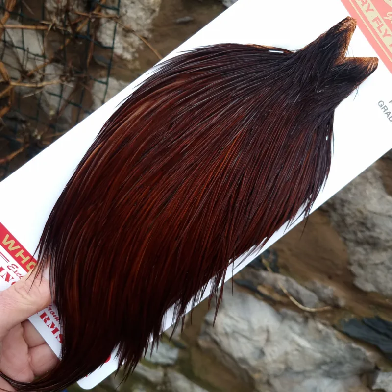 Whiting Pro-Grade Dry Fly Rooster Cape in Coachman Brown B