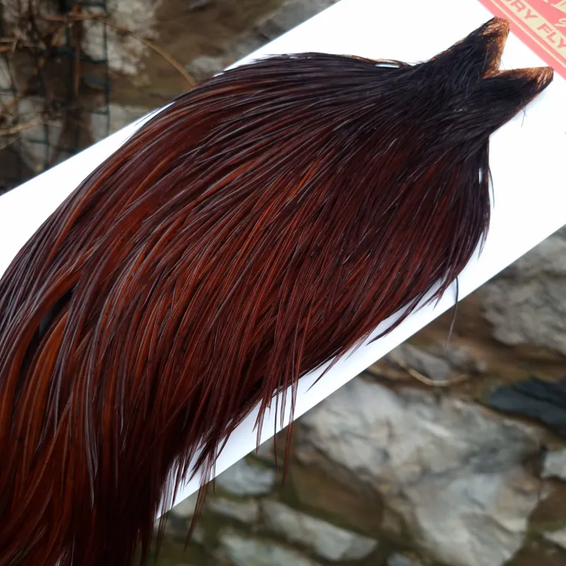 Whiting Pro-Grade Dry Fly Rooster Cape in Coachman Brown B-4