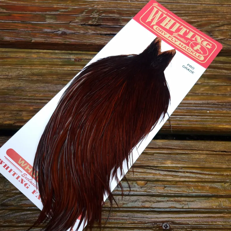 Whiting Pro-Grade Dry Fly Rooster Cape in Coachman Brown B-1