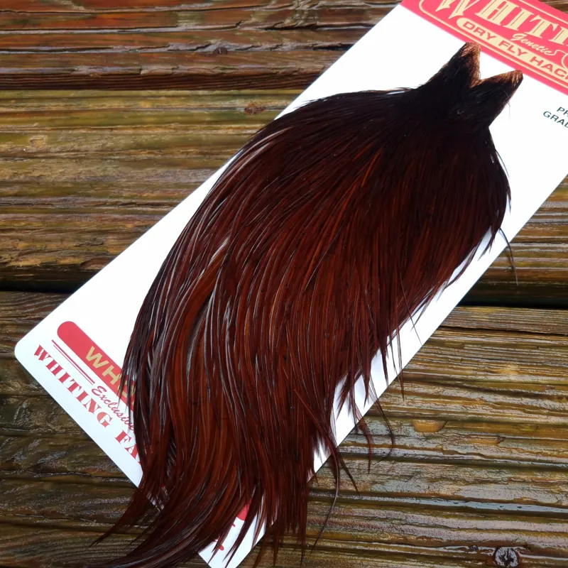 Whiting Pro-Grade Dry Fly Rooster Cape in Coachman Brown B-3