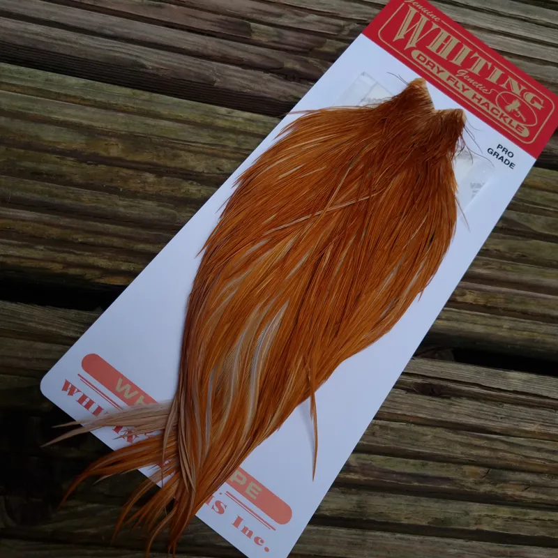 Whiting Pro-Grade Dry Fly Rooster Cape in Medium Ginger A-1