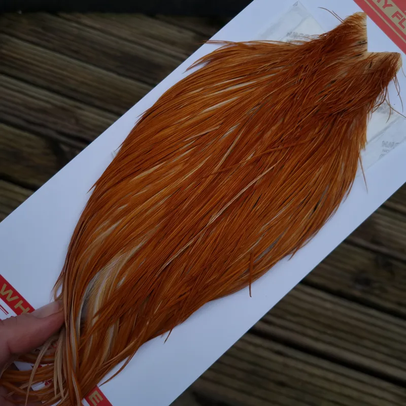 Whiting Pro-Grade Dry Fly Rooster Cape in Medium Ginger A-2