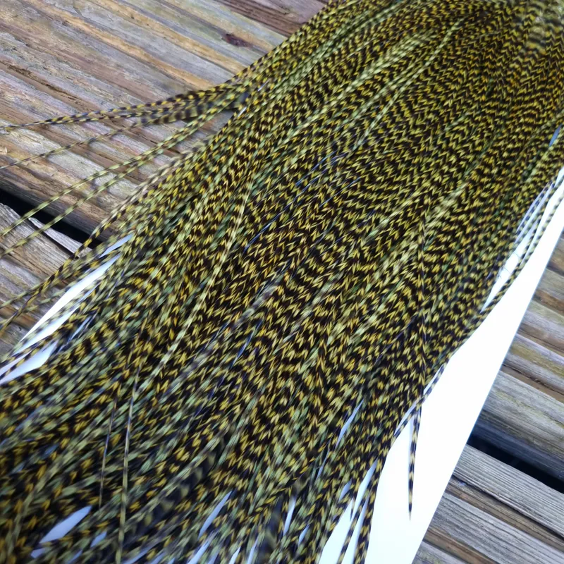 Whiting Pro-Grade Midge Rooster Saddle in Grizzly Dyed Olive B Approx tying size Stuffed with 14 16 you will find some 18 20 22 but you need to look for them.-3