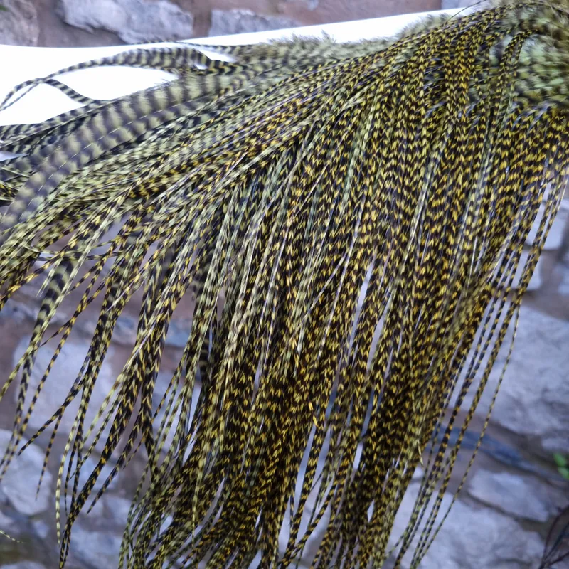 Whiting Pro-Grade Midge Rooster Saddle in Grizzly Dyed Olive B Approx tying size Stuffed with 14 16 you will find some 18 20 22 but you need to look for them.-2