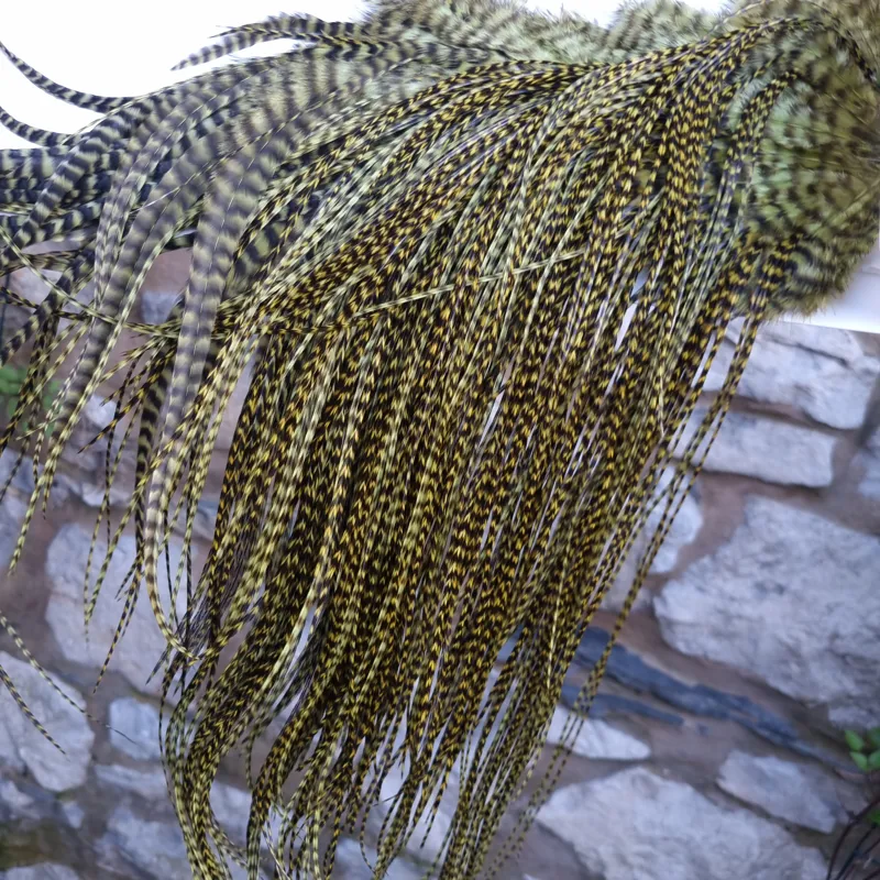Whiting Pro-Grade Midge Rooster Saddle in Grizzly Dyed Olive B Approx tying size Stuffed with 14 16 you will find some 18 20 22 but you need to look for them.-4