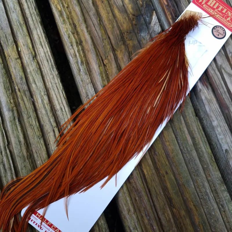 Whiting 1/2 Bronze Grade Dry Fly Rooster Cape in Brown Red Game