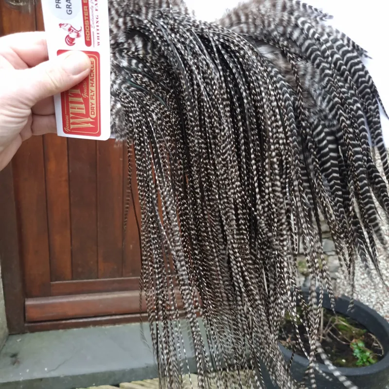 Whiting Pro-Grade Midge Rooster Saddle in Grizzly Variant A in VERY DARK GRIZZLY  Approx Tying Sizes 14/16/18/20-3