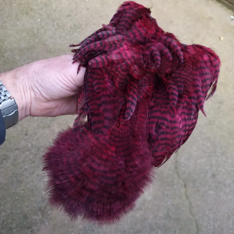 Whiting Rooster Soft Hackle with Chickabou in Grizzly Dyed Claret-2