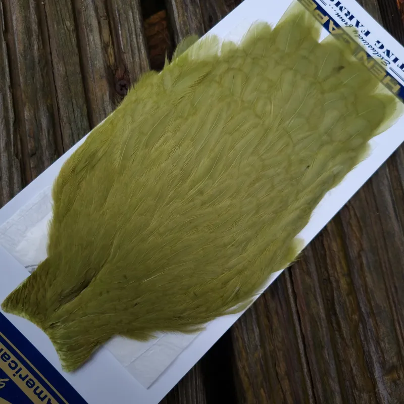 Whiting American Hen Cape in Olive-1