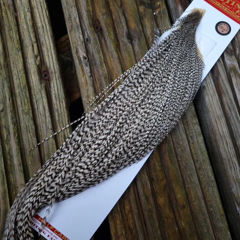 Whiting 1/2 Bronze Grade Dry Fly Rooster Cape in Grizzly-1