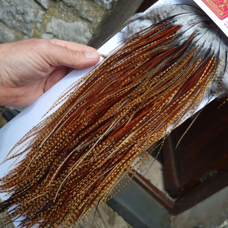 Whiting Pro-Grade Midge Rooster Saddle in Barred Dark Ginger A Approx Tying Sizes 16 18 20 22  24 26 and out of sight-5