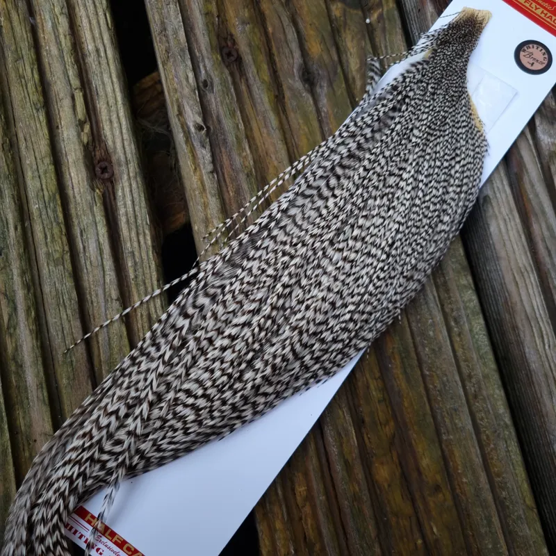 Whiting 1/2 Bronze Grade Dry Fly Rooster Cape in Grizzly-3