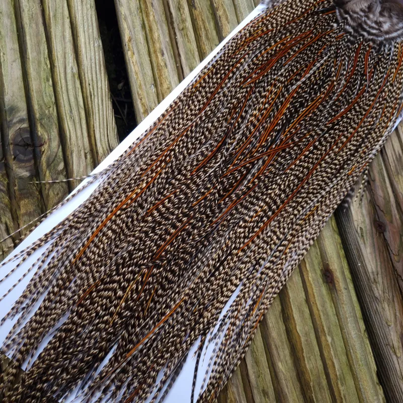 Whiting PRO-Grade Midge Rooster Saddle in Light Cree Splashed with Furnace   A Approx tying size 14/16/18-3