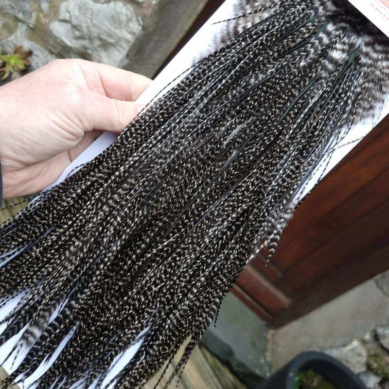 Whiting Pro-Grade Midge Rooster Saddle in Grizzly Variant A in VERY DARK GRIZZLY  Approx Tying Sizes 14/16/18/20-5