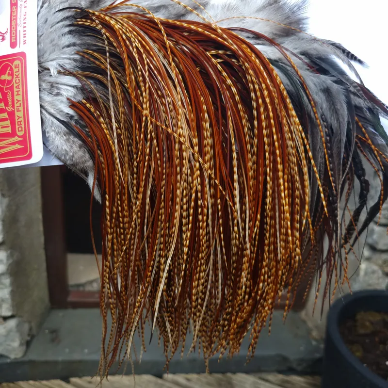 Whiting Pro-Grade Midge Rooster Saddle in Barred Dark Ginger A Approx Tying Sizes 16 18 20 22  24 26 and out of sight-1