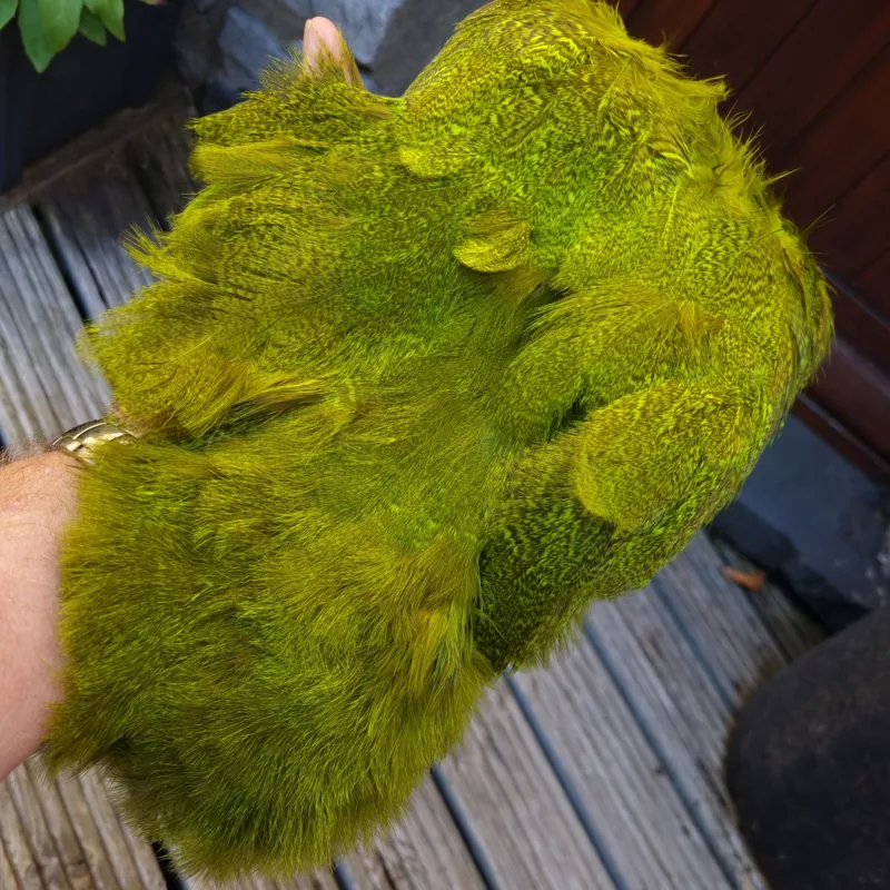 Whiting Coq de Leon Hen Soft Hackle with Chickabou in Speckled Fl.Green Chartreuse-1