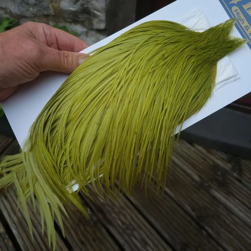 Whiting High and Dry Rooster Cape in Olive