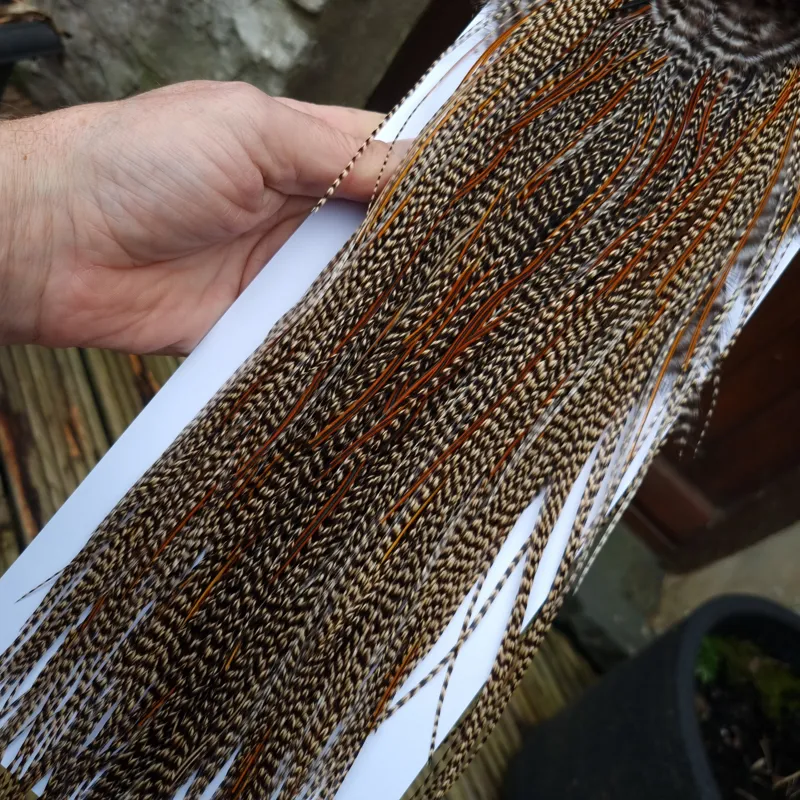 Whiting PRO-Grade Midge Rooster Saddle in Light Cree Splashed with Furnace   A Approx tying size 14/16/18-5