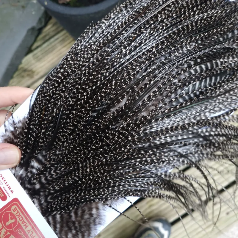 Whiting Pro-Grade Midge Rooster Saddle in Grizzly Variant A in VERY DARK GRIZZLY  Approx Tying Sizes 14/16/18/20-4