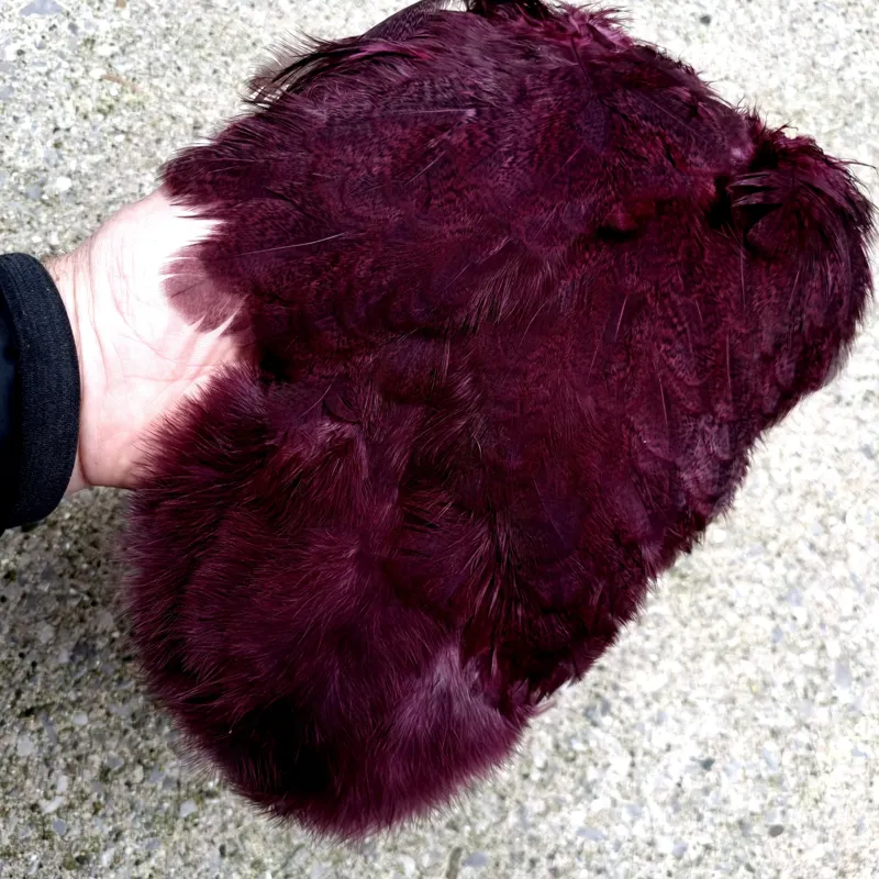 Whiting Coq de Leon Hen Soft Hackle with Chickabou in Speckled Burgundy