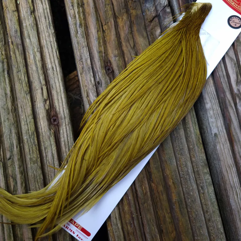 Whiting 1/2 Bronze Grade Dry Fly Rooster Cape in White Dyed Dark Olive