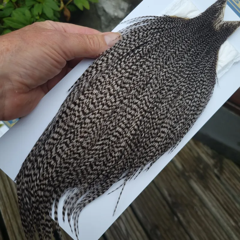 Whiting High and Dry Rooster Cape in Grizzly Dyed Medium Dun