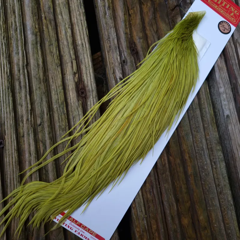 Whiting 1/2 Bronze Grade Dry Fly Rooster Cape in White Dyed Olive