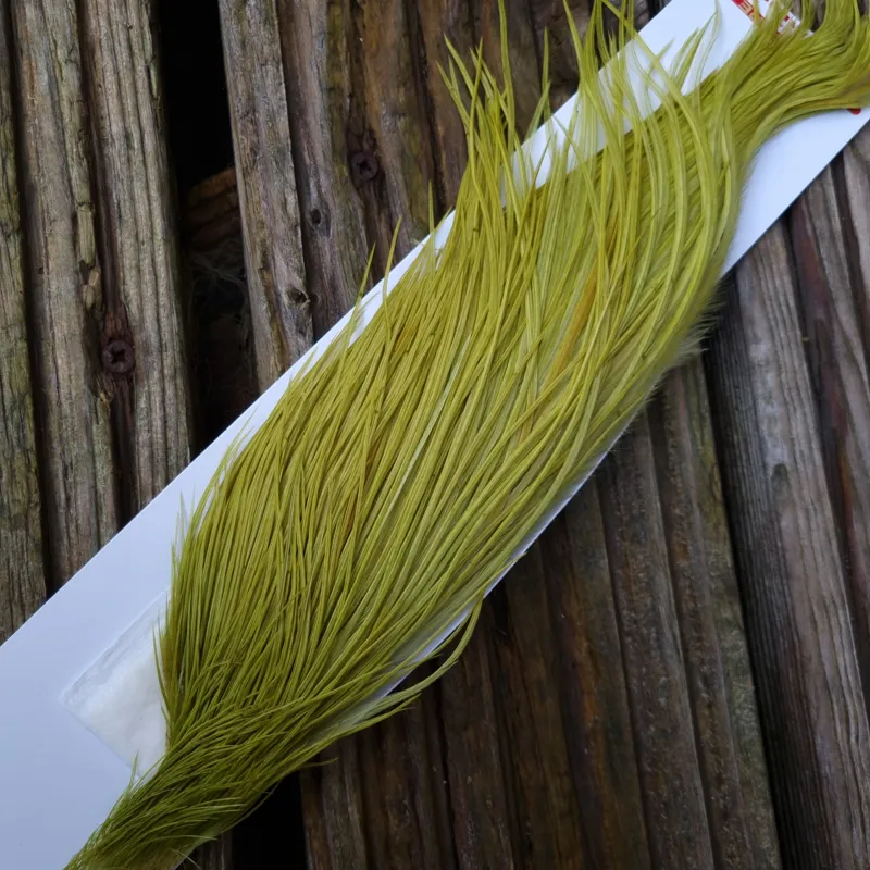 Whiting 1/2 Bronze Grade Dry Fly Rooster Cape in White Dyed Olive-3