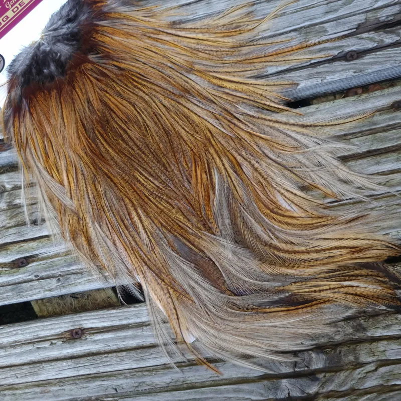 Whiting Coq de Leon Silver Grade Rooster Saddle in Ginger Pardo B-4