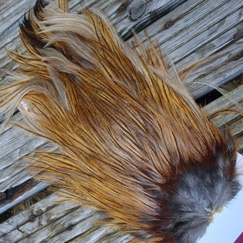 Whiting Coq de Leon Silver Grade Rooster Saddle in Ginger Pardo B-3