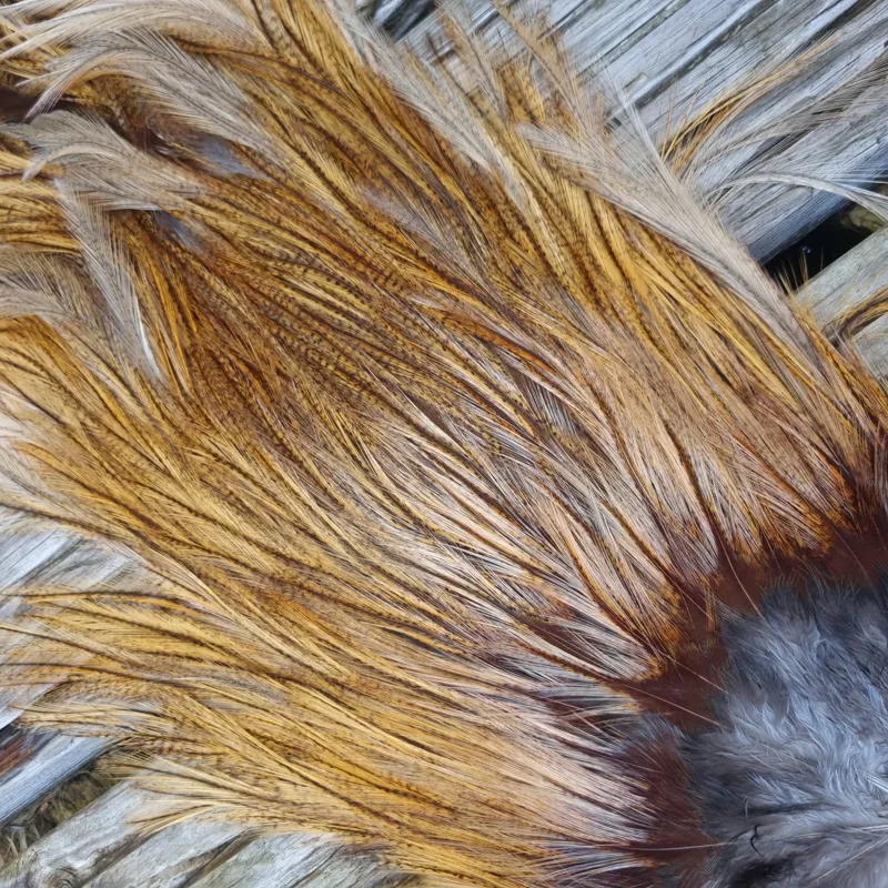 Whiting Coq de Leon Silver Grade Rooster Saddle in Ginger Pardo B-5