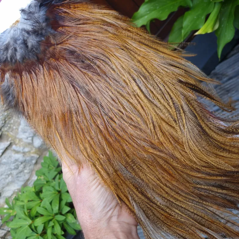 Whiting Coq de Leon Silver Grade Rooster Saddle in Ginger Pardo D