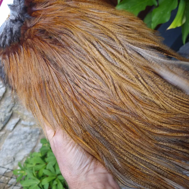 Whiting Coq de Leon Silver Grade Rooster Saddle in Ginger Pardo D-2