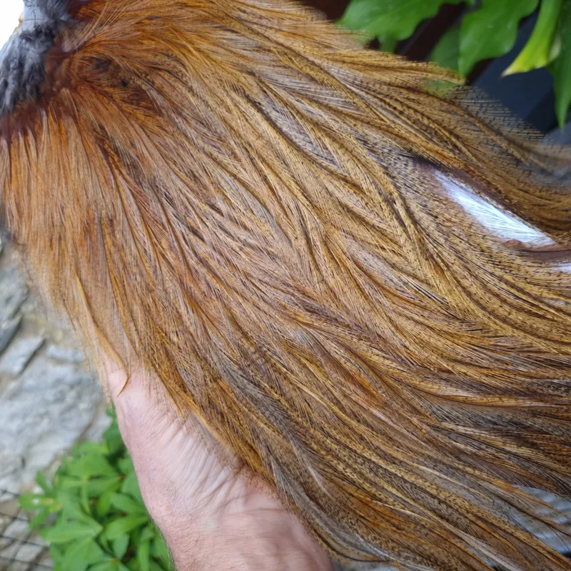 Whiting Coq de Leon Silver Grade Rooster Saddle in Ginger Pardo D-4