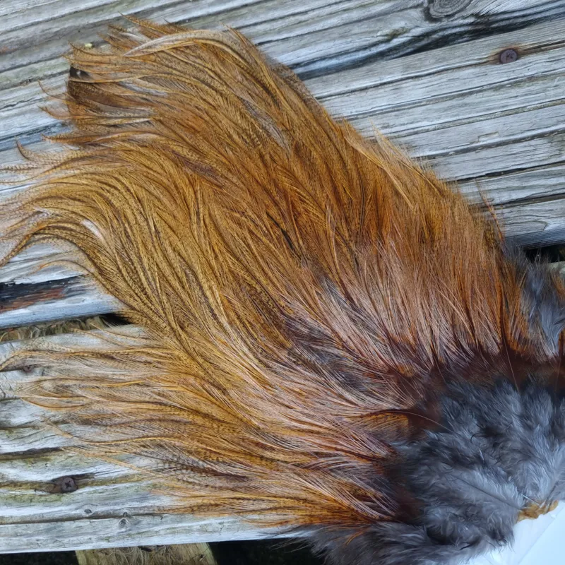 Whiting Coq de Leon Silver Grade Rooster Saddle in Ginger Pardo D-1