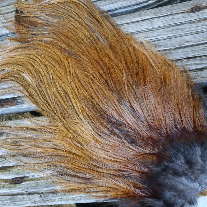 Whiting Coq de Leon Silver Grade Rooster Saddle in Ginger Pardo D-3