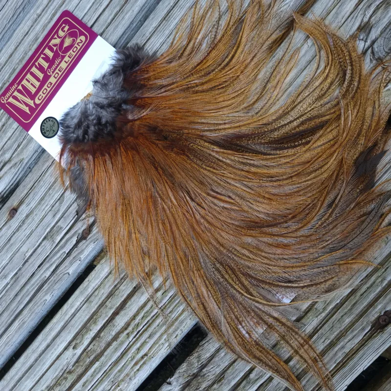 Whiting Coq de Leon Silver Grade Rooster Saddle in Ginger Pardo D-5