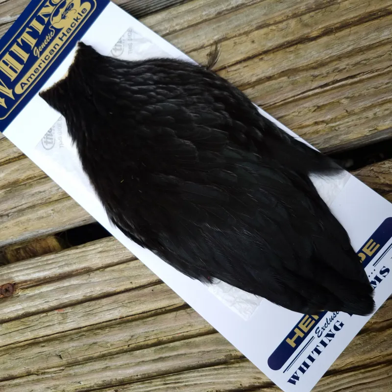 Whiting American Hen Cape in Natural Black