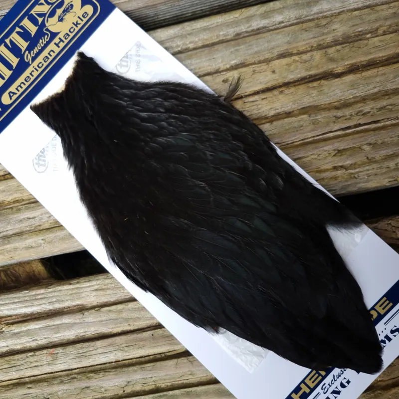Whiting American Hen Cape in Natural Black-2