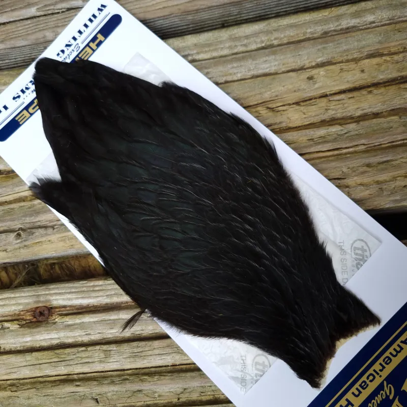 Whiting American Hen Cape in Natural Black-1