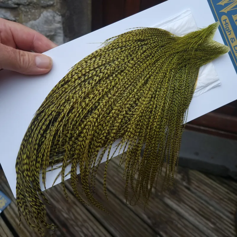 Whiting High and Dry Rooster Cape in Grizzly in Olive-1