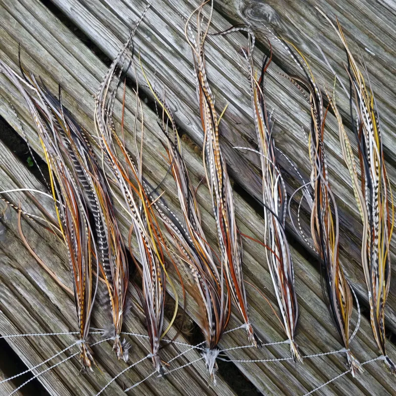 Lakeland Fly-Tying Extra Select Dry Fly Saddle Hackle in Mixed Colours Variety 24 Plus Packs-4