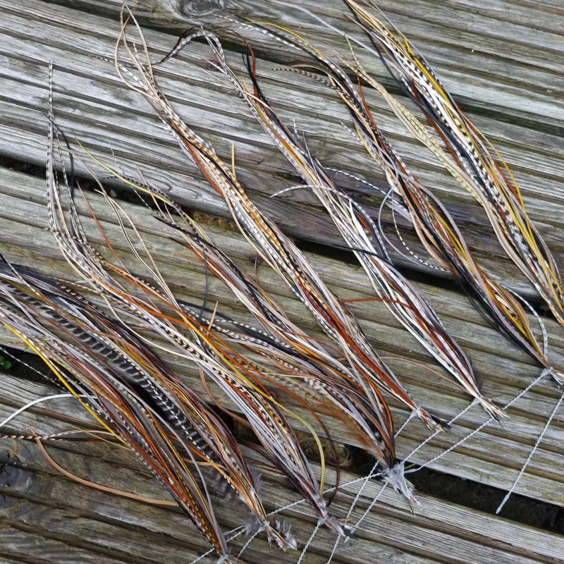 Lakeland Fly-Tying Extra Select Dry Fly Saddle Hackle in Mixed Colours Variety 24 Plus Packs-1