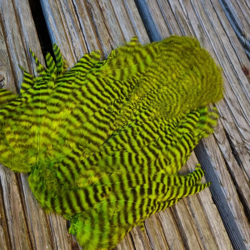 Whiting Rooster Soft Hackle with Chickabou in Grizzly Dyed Fl.Green Chartreuse-2